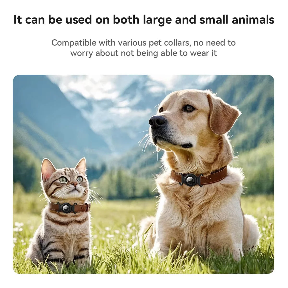 GPS Pet Tracker No Monthly Fee – Works with Apple Find My | Dogs & Cats