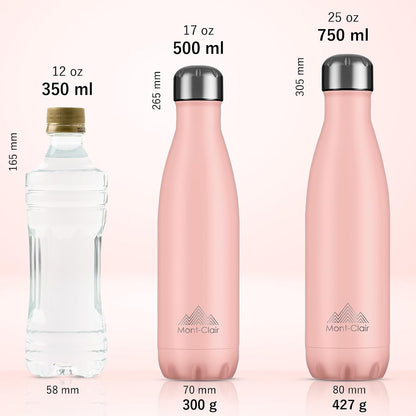 Stainless Steel Water Bottle, Vacuum Insulated - BPA Free, 12H Hot & 24H Cold Drinks, Metal Water Bottle 500ML Leakproof, Ideal for Adult, Kids, Running - Mellow Rose