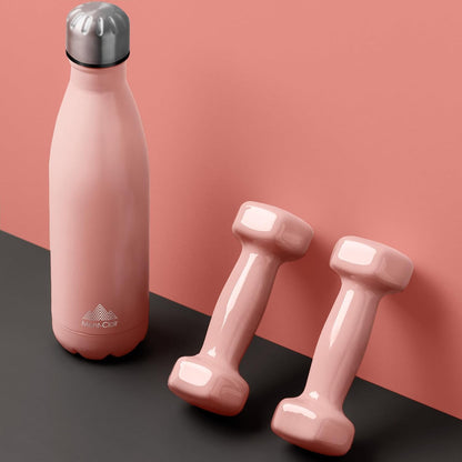 Stainless Steel Water Bottle, Vacuum Insulated - BPA Free, 12H Hot & 24H Cold Drinks, Metal Water Bottle 500ML Leakproof, Ideal for Adult, Kids, Running - Mellow Rose